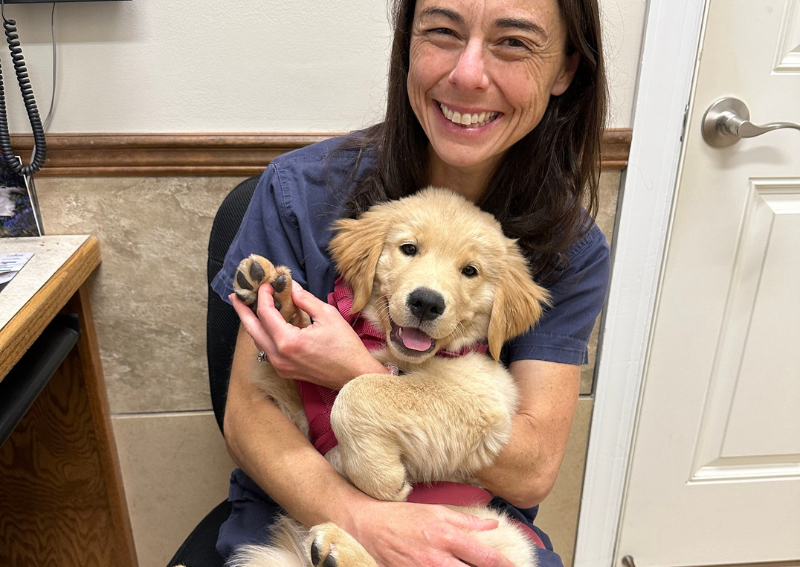 Carousel Slide 3: Dr. Duncan and our adorable client!